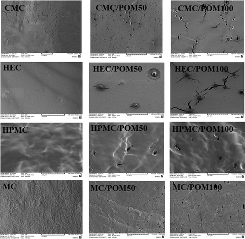 Figure 1. Election scanning microscopy (SEM) images of carboxymethylcellulose (CMC), hydroxyethylcellulose (HEC), hydroxypropy.