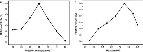 Figure 6. Effects of temperature (a) and pH (b) value on the biocatalytic activity of purified ReNHase towards adiponitrile.
