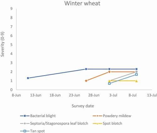 Fig. 1 Foliar disease progress curves for bacterial blight (Pseudomonas syringae pv. syringae), septoria/stagonospora leaf blotch (Septoria tritici and Stagonospora spp.), powdery mildew (Blumeria graminis f.sp. tritici), spot blotch (Cochliobolus sativus) and tan spot (Pyrenophora tritici-repentis) in winter wheat fields in Ottawa, Ontario in 2020. Each point is the mean of three fields and three sites per field. Severities of these diseases were visually estimated on a scale of 0 to 9, four times during the growing season when plants were at the heading, flowering, milk, and soft dough stages of growth, respectively