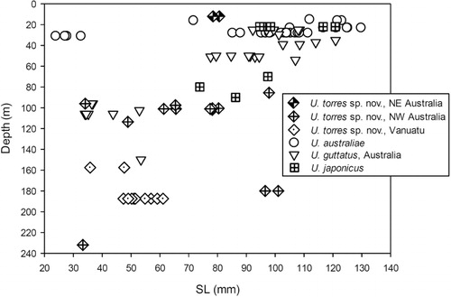 Figure 5. Depth–size relationships for the four Upeneus species.