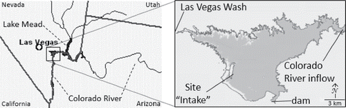 Figure 1. Study location. Left panel: Southern Nevada and surrounding states; thick lines are state borders and thin lines are the Colorado River and tributaries of Lake Mead. Box indicates area shown in right panel. Right panel: Boulder Basin, the downstream portion of Lake Mead, which receives water from the upstream portion of Lake Mead and the Colorado River though the region marked “Colorado River inflow.” The river channel is on the east side of Boulder Basin. Las Vegas Wash enters Boulder Basin from the west. The intakes that supply water to Southern Nevada are located on the west side of Boulder Basin at the “Intake” site.
