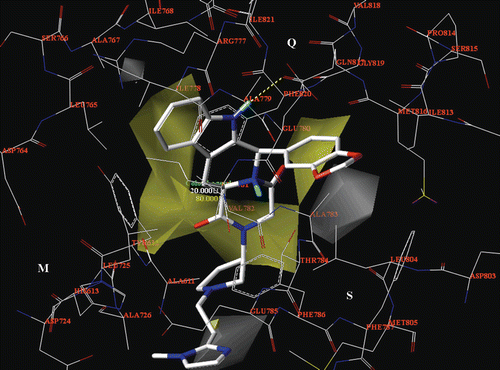 Figure 13.  The CoMSIA hydrophobic map (yellow, favoured; white, disfavoured) is displayed around the compound 62 selected docking pose (in stick), located into the PDE5 catalytic site. The most important residues are labelled.