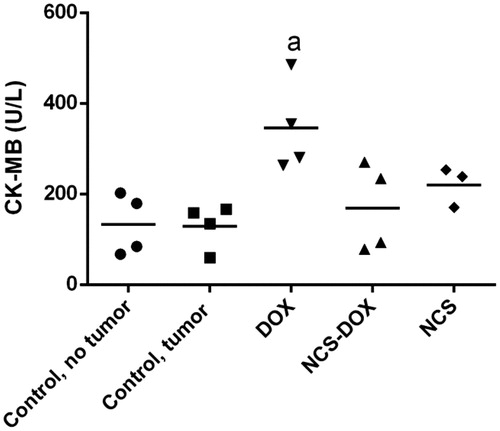 Figure 6. Graphs represent creatine kinase MB (CK-MB) activity in the serum of mice treated with doxorubicin alone (DOX), nanocapsules containing selol and doxorubicin (NCS-DOX), nanocapsules of selol (NCS), and control mice, with and without tumour (vehicle only, which consisted of an aqueous solution of glucose 5% w:v). Data are expressed as mean ± standard error of the mean. a = p < .05 when compared to the other groups, except NCS.
