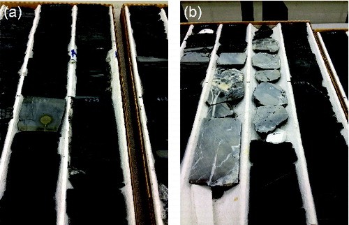 Figure 1. Visual variations in the (a) Harrison and (b) Rackley cores can be observed, suggesting compositional differences.