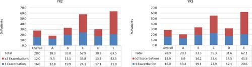 Figure 4 Percent of Patients with Single and Multiple Exacerbations. The bar graph depicts the percentage of patients with 1 and ≥2 exacerbations for the overall cohort and by baseline exacerbation Categories A-E for post-index YR2 and YR3. Exacerbations were defined as 0 (Category A), 1 moderate (Category B); ≥2 moderate (Category C); 1 severe (Category D); ≥2 exacerbations, at least one being severe (Category E).