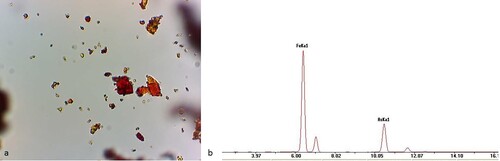 Figure 4. (a) Burnt Sienna pigment viewed under transmitted light microscopy, showing a heterogeneous sample. Image size 200 µm; (b) Labelled XRF peaks from Bruker’s S1PXRF analysis programme, showing the peaks indicating the presence of iron (left) and arsenic (right). Readings are in counts.