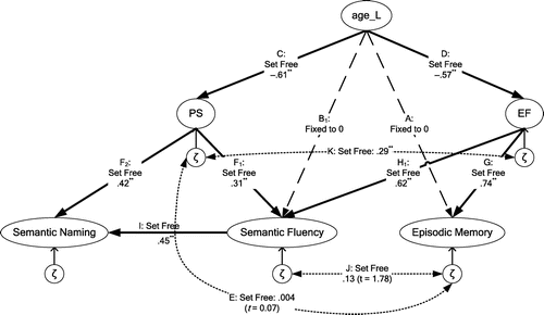 Figure 4. Structural model M8, including parameter estimates of the structural relations (*p < .05; **p < .01) (see also Table 4, section II): indirect decline of episodic memory, via age-related decline of EF; indirect decline of semantic fluency, via age-related decline of PS and EF; indirect decline of semantic naming, via age-related decline of PS and via indirect decline semantic fluency.