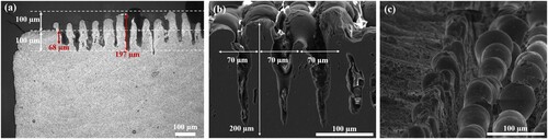 Figure 12. Laser-ablated state subsequent to the pulsed-wave laser processing (the first step of dL-PBF); (a) OM image displaying the ablation depth with respect to AB surface (∼70–100 µm), the crater depth (∼200 µm) is shown with the red arrows on the etched YZ cross section, (b) SEM image of YZ cross section displaying the frequency of ablation grooves, the distance between the grooves (∼70 µm) is indicated with the white horizontal arrows, (c) SEM image displaying the top view of AB surface (left) and the PW laser processed surface state with ablation tracks (right).