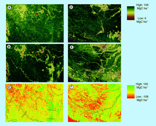 Figure 3.  Comparison of existing and new aboveground carbon density maps.Subset maps of ACD derived from pantropical mapping of (A) Colombia and (D) Peru, then (B) and (E) remapped after fine-tuning with CAO LiDAR data. The difference between the two maps is shown in panels (C) and (F). A subset of the CAO samples are shown in black lines.ACD: Aboveground carbon density; CAO: Carnegie Airborne Observatory.