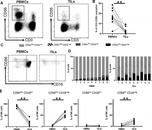 Figure 4. NK cells are a minority population within PDAC tumors and show strong downregulation of CD16