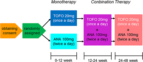 Figure 2 Protocol flow from consent to medication. The concomitant use of diabetes medications that were used prior to the study was allowed, but in principle, no drugs were added, discontinued, or doses changed. Discontinuation criteria for glycemic control in the elderly were established from the viewpoint of preventing severe hypoglycemia.