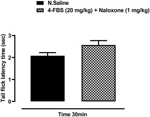 Figure 4 Shows that naloxone, 1mg/kg shows partial reversal of analgesia in tail flick latency protocol. Pain threshold was observed in 4-FBS at 20mg/kg treated mice, which was statistically non-significant when compared with the saline vehicle control group.