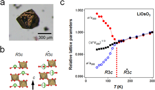 Figure 126. Slater insulator LiOsO3. (a) Photo of a flex-grown single crystal, (b) schematic views of centrosymmetric (right) and non-centrosymmetric (left) LiNbO3-type structures, (c) thermal evolution of the rhombohedral lattice parameters of LiOsO3 measured by neutron diffraction. The parameters are normalized by the 300 K values of a = 5.0699(1) Å and c = 13.2237(2) Å [Citation106]. Reprinted with permission from Macmillan Publishers Ltd: [Citation106], Copyright 2013.