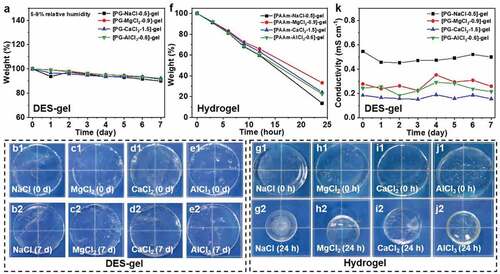 Figure 5. Environmental stability of various DES-gels and PAAm-MCln-y hydrogels. (a) Plot of weight maintenance of the DES-gels under 5– 9% relative humidity versus time. The weight of DES-gels can maintain approximately 90% of their initial weights, showing high environmental stability even in an extremely dry condition. (b-e) Images of the DES-gels before and after storage for 7 days. The DES-gels show size stability. (f) Change of weight of the PAAm-MCln-y hydrogels for 24 h. The weight drops persistently fast as water evaporates. (g-j) Photos of the PAAm-MCln-y hydrogels before and after stored for 24 h. The sizes of all PAAm-MCln-y hydrogels are reduced remarkably due to water loss. Relative humidity: 30– 35%, temperature: 20– 25°C. (k) Change of conductivity of DES-gels under 5– 9% relative humidity versus time. Relatively stable conductivity further Proves the high environmental stability of the DES-gels