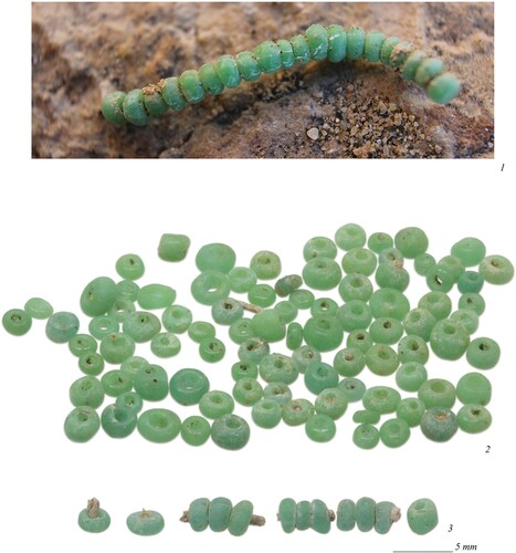 Figure 7. Examples of drawn and rounded glass beads from Tomb N1-3: 1) beads in situ; 2) beads BE21-144-014-027_F474-480; 3) beads BE21-144-014-028_F558, 560-563 (photographs by M. Gwiazda, J. Then-Obłuska and the Berenike Project).