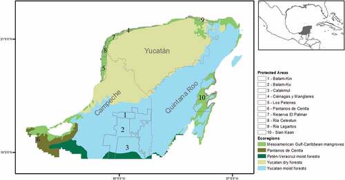 Figure 1. Study area. Mexican portion of the Yucatan Peninsula and Protected Areas of categories Ia to IV according to the IUCN.