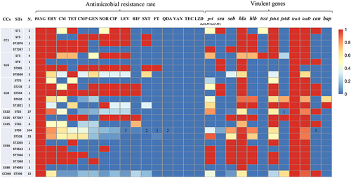 Figure 1 Virulence genes and antimicrobial resistance rates of MRSA clinical isolates linked to STs. Antibiotic and virulent genes were detected in less than 3% of isolates with a particular ST; the number of MRSA isolates is given.