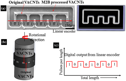 Figure 7. (a) A linear encoder fabricated by M2B technique, (b) Concept to use VACNTs by M2B processing as an angular encoder by growing VACNTs on flexible substrate, and (c) Represents digital output of the encoder.