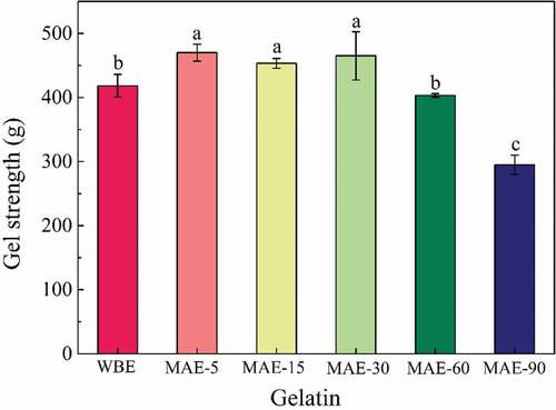 Figure 2. Gel strength of gelatin extracted by WBE and MAE. WBE: gelatin obtained by water bath extraction; MAE-5, MAE-15, MAE-30, MAE-60, and MAE-90: gelatin obtained by microwave-assisted extraction with extraction time of 5, 15, 30, 60, and 90 min, respectively