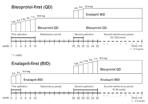 Figure 3 Study design of CIBIS-III. Double titration with monotherapy and combination phases for each arm, bisoprolol-first and enalapril-first.