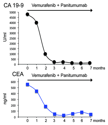 Figure 2. Trend of CEA and CA 19–9 during vemurafenib and panitumumab combination therapy.