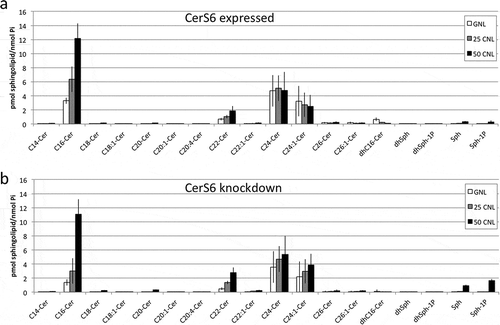 Figure 3. Sphingolipid profiles of SW480 cells following treatment with C6-ceramide nanoliposomes. SW480 cells expressing CerS6 (a) or with CerS6 knockdown (b) were incubated with 50μM ghost nanoliposomes or 25μM and 50μM C6-ceramide nanoliposomes. At 36 hours cells were collected for LC/MS analysis. Data shown are the average and standard deviation from two independent experiments each performed in triplicate.