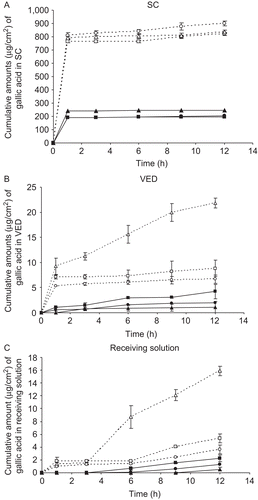 Figure 4.  Cumulative amounts (µg/cm2) of gallic acid from various gel formulations versus time (hours) in stratum corneum (SC) (A), viable epidermis and dermis (VED) (B) and receiving solution (C) following transdermal absorption across excised rat skin by vertical Franz diffusion cells. Display full size = GS; gallic acid in phosphate buffer solution; Display full size = GE; elastic niosomes loaded with gallic acid; Display full size = GN; nonelastic niosomes loaded with gallic acid; Display full size = SS; the semipurified fraction in phosphate buffer solution; Display full size = SE; elastic niosomes loaded with the semipurified fraction; Display full size = SN; nonelastic niosomes loaded with the semipurified fraction.