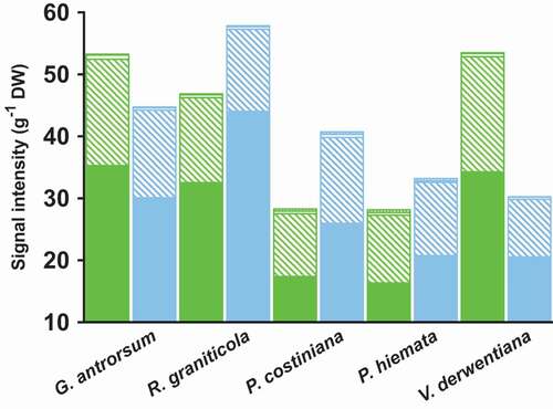 Figure 4. Total signal intensity, normalized for dry weight, for groups of lipids in the leaves of G. antrorsum, R. graniticola, P. costiniana, P. hiemata, and V. derwentiana. Green = SP (low P) site; blue = DHP (high P) site. The signal intensities of the different components of each group of lipids (phospholipids, filled bars; galactolipids, dashed bars; sulfolipids, empty bars; GlcCers and GlcADGs, checked bars) were summed. Values are mean signal intensities (n = 3)