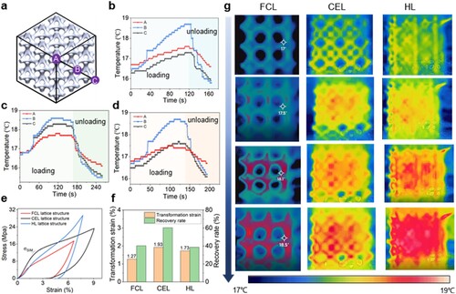 Figure 9. (a) Specific measured points of FCL lattice structure; (b-d) Temperature variation during compression process of FCL (b), CEL (c) and HL (d) lattice structures; (e) Loading-unloading curves; (f) Comparison of transformation strain and strain recovery rate; (g) Temperature evolution during loading process.