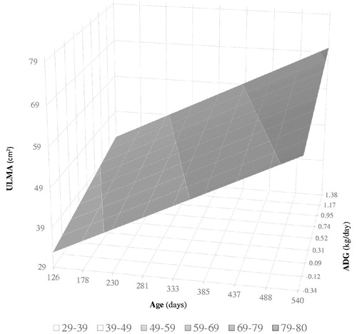 Figure 1. Effect of average daily gain (ADG) and age on longissimus muscle area. ULMA: longissimus muscle area.