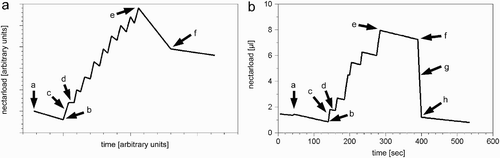 Figure 4. Dynamics of the crop load of a forager bee during one foraging cycle as predicted by our simulation (B) and as depicted in published idealised data (Schmidt-Hempel et al. Citation1985) (A). The forager leaves the colony (a) to fly to the nectar source, lands on a flower (b), uploads the nectar (c), flies to the next flower (d), and so on. After some time the forager stops flying from flower to flower and starts to fly back to the colony (e). As soon as the forager reaches the colony (f), it unloads most of its nectar to a waiting storer bee ((g) missing in A), and then stays in the colony for Th time steps (h). The graph predicted by our model shows a foraging cycle under conditions of low nectar flow with Ma m =1 μl. The bee stops foraging before it is fully loaded (C i (t)<Ce i ).