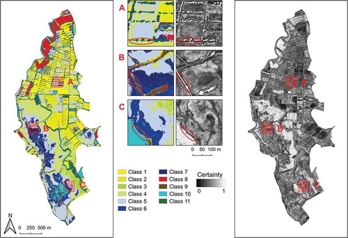 Figure 5. Random-forest-based crisp map (left panel) and uncertainty map (right panel). Inset maps focus on a (a) hedged area and (b and c) open marshes with a moisture gradient