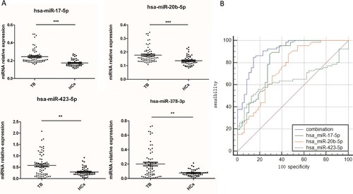 Figure 1. A potential TB diagnostic model was established when combined miR-423-5p, miR-17-5p and miR-20b-5p as a panel. (A) The levels of four serum miRNAs were measured by qPCR from TB patients (N = 70) and healthy controls (HCs, N = 51). Median values are shown by horizontal lines. (B) The Receiver Operating Characteristic curve of miR-17-5p, miR-20b-5p, miR-423-5p and the combined model were analyzed. N: number of subjects. *P < 0.05, ** P < 0.01, *** P < 0.001.