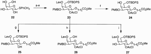 Scheme 4: Reagents and conditions: a) TBPSCl, imidazole, DMF, 100%; b) i. Bu2SnO, toluene, benzene, reflux; ii. PMBCl, Bu4NI, DMF, 60°C, 49%; c) ClCH2COCl, Et3N, CH2Cl2, −20°C to rt 52%; d) levulinic acid, DCC, DMAP, CH2Cl2, 83%, e) i. HO(CH2)5CO2Me, NIS, TMSOTf, 4 Å molecular sieves, CH3CN, −20°C to rt; ii. HgBr2, toluene, CH3NO2, 60°C, 85%; f) NH2‐NH2 AcOH, THF/MeOH, 10:1, 90%; g) NaHCO3, MeOH/H2O, 5:1, 60°C, 99%; h) HF‐pyridine, AcOH/THF, 1:4, 98%; i) CF3COOH, CH2Cl2, −20°C, 97%.