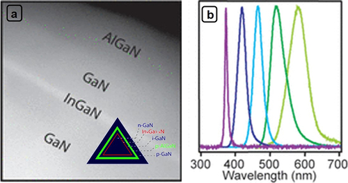 Figure 12. (a) Dark-field scanning TEM image of a cross-sectional GaN/InxGa1-xN/GaN/AlGaN CMS NW (insect: scheme of CMS cross-sectional view); (b) Normalized EL spectra recorded from five representative forward-biased multicolor CMS NW LEDs. Figures reproduced with permission from Ref. [Citation143], Copyright © 2005, American Chemical Society.