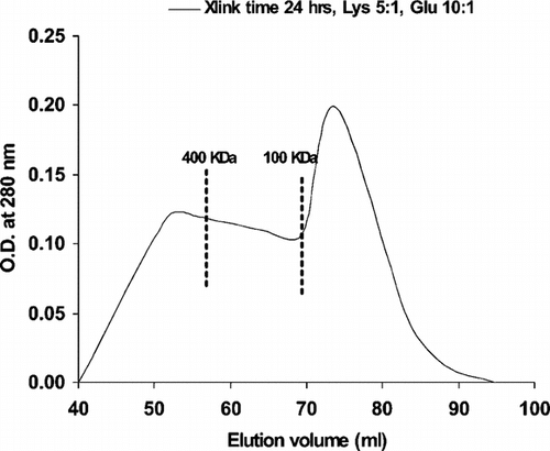 Figure 2 Elution profiles of 24 hours crosslinked PolyHb were obtained by running on a Sephacryl-300 HR 1.6 cm × 70 cm column, equilibrated with 0.1 M Tris · HCl pH 7.5, and eluted at 15 ml/hr. The percentage of molecular weight less than 100 KDa is 38%.