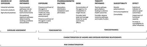 Figure 1. An expanded risk characterization paradigm illustrating the role of biomarkers of exposure, effect, and susceptibility (adapted from McClellan (Citation2020)).