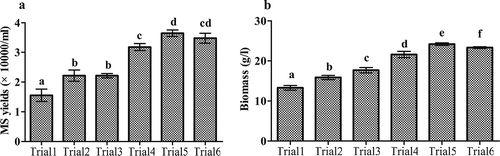 Figure 2. Production of M. rileyi MS and biomass in various trials. (a) The MS yields obtained in various trials. (b) The biomass obtained in various trials. Trials 1–6 comprised treatments with various aeration and agitation rates (Trial 1: 100 rpm and 600 L/h; Trial 2: 100 rpm for the first 3 days and 150 rpm for the subsequent 3 days and 600 L/h; Trial 3: 150 rpm and 600 L/h; Trial 4: 150 rpm and 800 L/h; Trial 5:150 rpm for the first 3 days and 200 rpm for the subsequent 3 days and 800 L/h; and Trial 6: 150 rpm for the first 3 days and 200 rpm for the subsequent 3 days and 1200 L/h). Standard error bars indicate variation in measurements. Means followed by different letters are significantly different (Duncan’s multiple range tests).