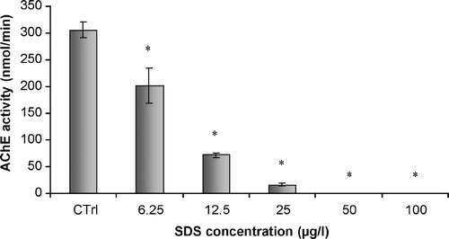 Figure 5 In vitro effects of SDS on acetylcholinesterase activity of purified soluble acetylcholinesterase from Electrophorus electricus. Values are the mean of three replicate assays and corresponding standard error bars. *-Significant differences, p < 0.05.