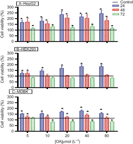 Figure 4. The effects of OA on the viability and/or metabolic activity of HepG2 (A), HEK293 (B), and MDBK (C) cells in vitro after exposure to various concentrations of OA for 24, 48, and 72 h. Values are presented as means, and vertical bars indicate SEM (n = 6).Notes: *p < 0.05 in comparison with control. ♦p < 0.05 in comparison with 24 and 48 h.