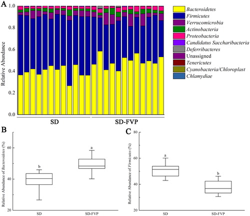 Figure 6. Gut microbial compositions of mice at phylum level. (a) Relative abundance of major phyla across 24 faecal microbiomes; (b) Relative abundance of Bacteroidetes across each grouped microbiome; (c) Relative abundance of Firmicutes across each grouped microbiome. Values are means ± SDs. n = 12. Different lowercase letters (a > b) mean a significant difference in a different treatment group (P < .05).