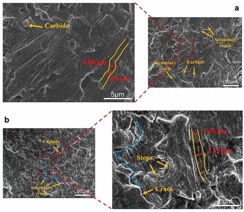 Figure 9. Fatigue streaks and secondary cracks of 718Plus superalloy at different temperatures: (a) T = 600°C, S = 850 MPa, N = 1.91 × 105, (b) T = 700°C, S = 800 MPa, N = 3.14 × 104.
