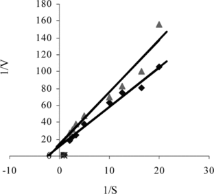 Figure 7 The effect of uric acid concentration upon the amperometric response of free and immobilized uricase (Lineweaver-Burk Plot).