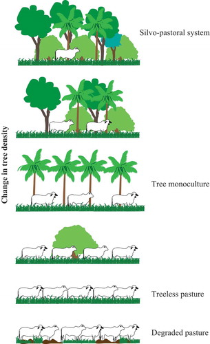 Figure 1. Illustrates the syndromes of production, formulated as a linear relationship between cattle density (or other disturbance) as the driving variable and tree density as the response variable. Adapted from Moguel and Toledo (Citation1999) depiction of five coffeegrowing systems.