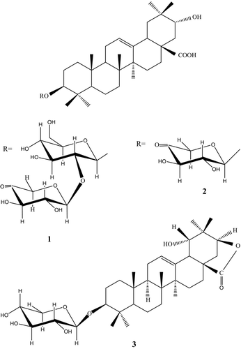 Figure 1.  Structures of saponins 1–3.