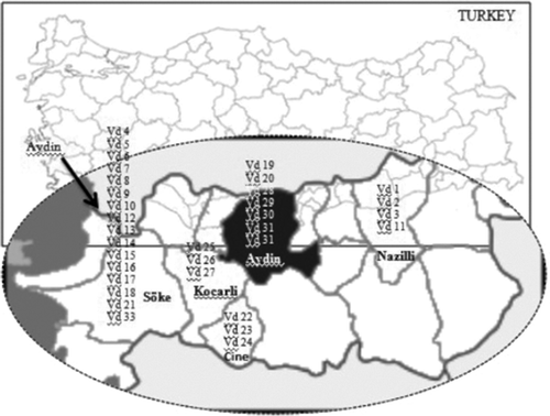 Fig. 1. Geographical distribution of V. dahliae isolates collected.