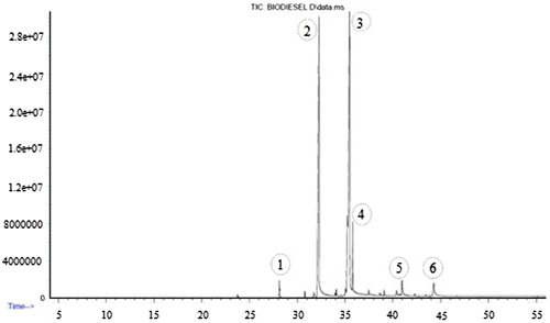 Figure 8. The results of chromatography of palm oil biodiesel.
