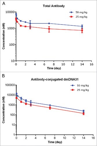 Figure 6. Plasma concentration−time profiles of TAC total antibody (TAb) (A) and antibody-conjugated dmDNA31 (ac-dmDNA31) (B) following IV administration of TAC in mice infected with S. aureus.