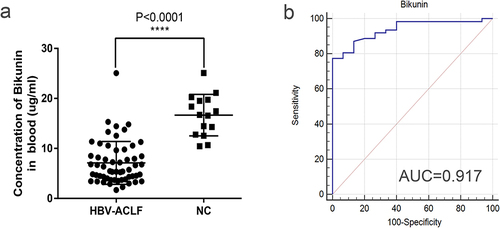 Figure 4 Analysis of ELISA results between HBV-ACLF and normal group. (a) Comparative analysis of plasma concentration for bikunin between HBV-ACLF and normal group, ****: p<0.0001. (b) ROC analysis of bikunin plasma concentration in normal group and HBV-ACLF group, AUC=0.917.