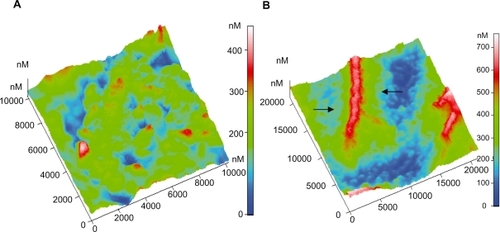 Figure 5 Three-dimensional AFM topography image of: A) Platelets on type A carbon nanocoating with 5% H2 in plasma during deposition, after 1 hour of incubation (scan size 10 μm × 10 μm), B) Platelets on the same coatings as in Figure 5A, after 2 hours incubation time (scan size 21 μm × 21 μm). The arrows indicate the platelets aggregation and the formation of a cluster-like island.